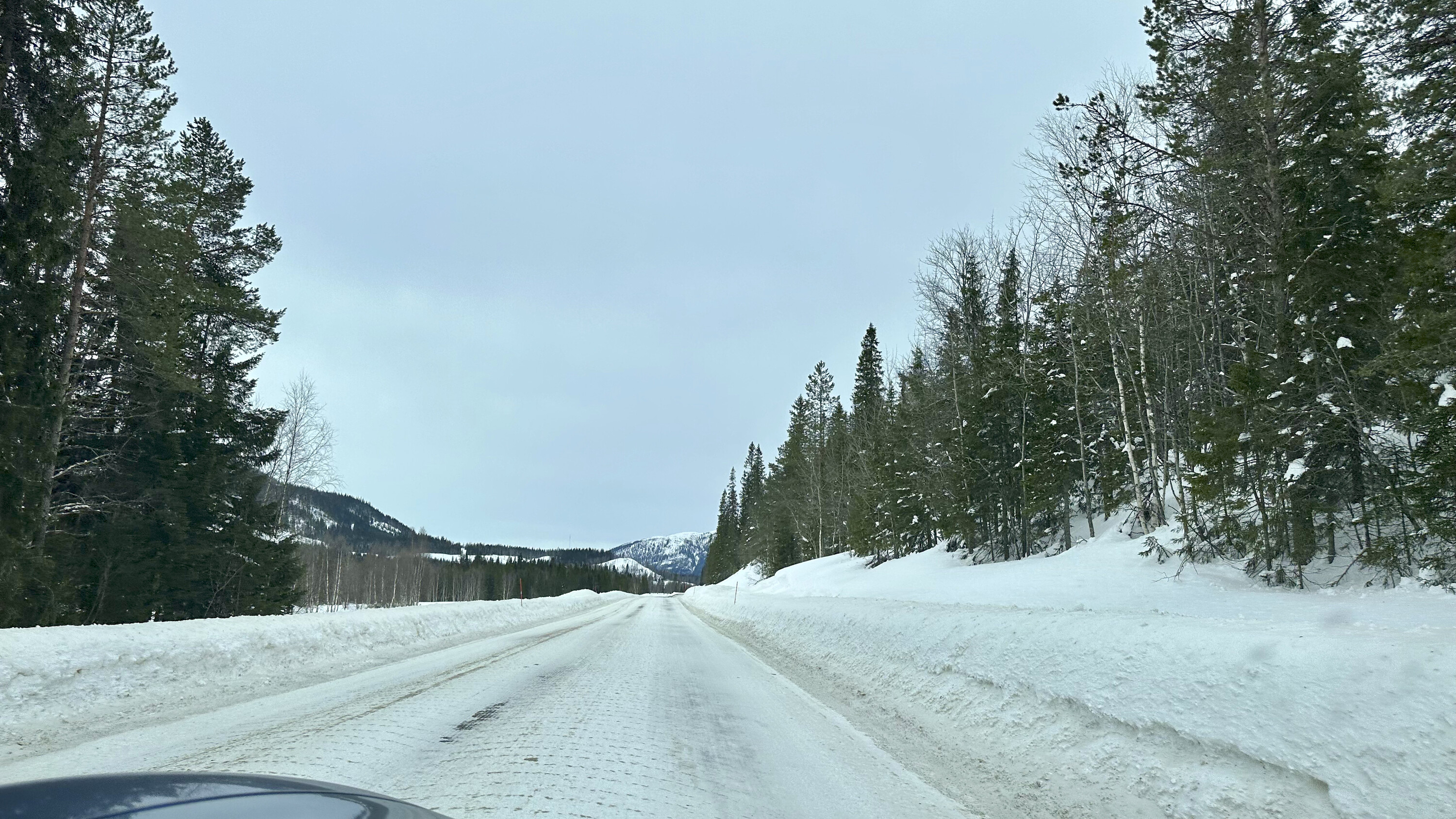 Porsche Taycan Taycan to Tromsø Road Trip – Winter 2023 (Arctic Norway) 52707296667_ab92628eaa_4k